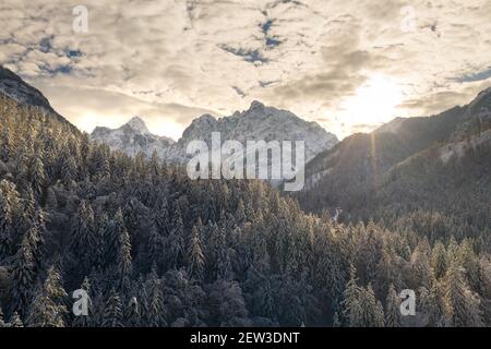 Photo aérienne du magnifique paysage de montagne d'hiver. Drone se déplaçant au-dessus de la vallée avec la forêt de pins enneigée. Banque D'Images