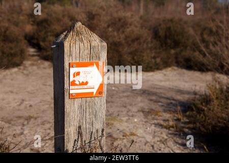 Panneau Semaphore Tower, Ockham Common Forest, Chatley Heath Surrey Royaume-Uni 2021 février hiver Banque D'Images