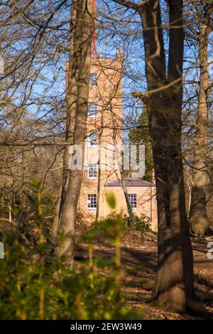 Wisley & Ockham Common Forest, Chatley Heath Surrey Royaume-Uni 2021 février hiver Banque D'Images