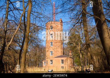 Demi-tour, Ockham Common Forest, Chatley Heath Surrey Royaume-Uni 2021 février hiver Banque D'Images