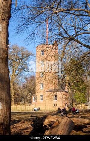 Demi-tour, Ockham Common Forest, Chatley Heath Surrey Royaume-Uni 2021 février hiver Banque D'Images