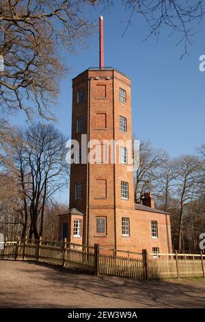 Demi-tour, Ockham Common Forest, Chatley Heath Surrey Royaume-Uni 2021 février hiver Banque D'Images