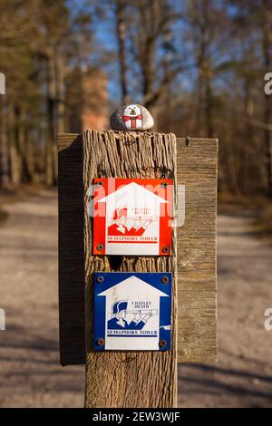 Peinture de roche, roche cachée à la tour Semaphore, Ockham Common Forest, Surrey, Royaume-Uni 2021 février hiver Banque D'Images