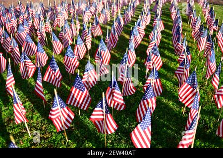 De nombreux drapeaux américains miniatures sont fixés sur l'herbe à l'avant d'une chapelle commémorative de près Banque D'Images