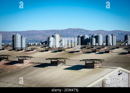 Vue sur une ferme de poulet Cumbrian jusqu'aux collines Pennine Banque D'Images