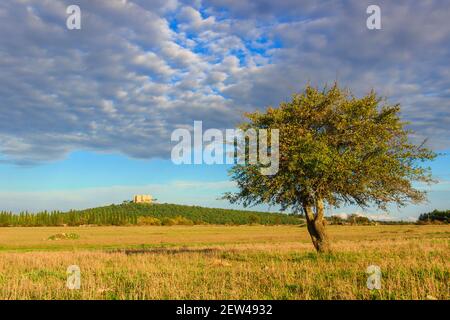 Parc national d'Alta Murgia : Castel del Monte, Apulia (Italie). Banque D'Images