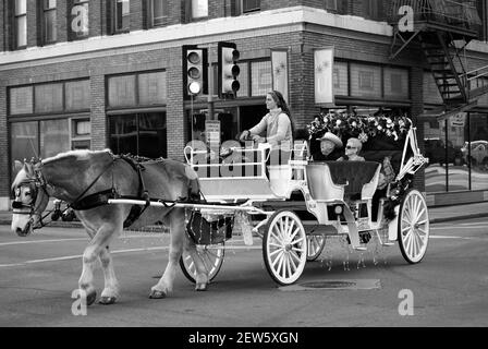 Un couple âgé peut visiter San Antonio, Texas, en calèche. Banque D'Images