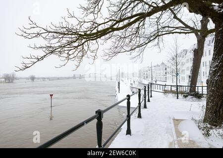 ZUTPHEN, PAYS-BAS - 08 février 2021 : arbres stériles d'hiver avec rivière IJssel à haut niveau d'eau passant par le boulevard hanséatique historique Banque D'Images