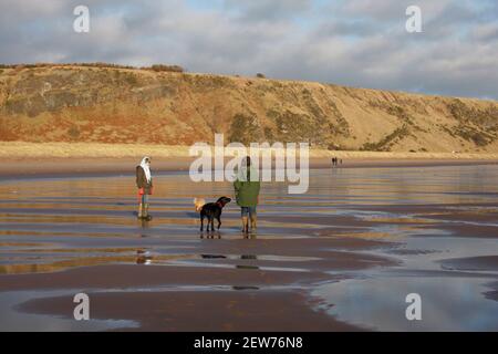 Randonneurs avec chiens sur la plage de la réserve naturelle nationale de St Cyrus, Aberdeenshire, Écosse Banque D'Images