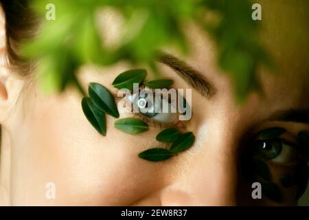 Gros plan du visage de la jeune femme avec des feuilles de buis. Bannière de modèle de spa et de bien-être pour le design. Publicité de produits cosmétiques Banque D'Images