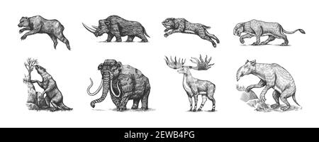 Mammouth ou éléphant éteint, Woolly rhinoceros Cave ours lion. Tigre à dents Panthera sabre, wapiti ou cerf irlandais, loth, Megatheriidae. Vintage Illustration de Vecteur