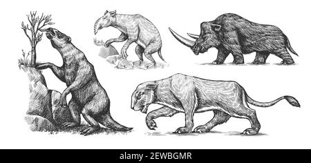 Lion de caverne de rhinocéros laineux. Sloth moulu, Megatheriidae. Palorchètes ou marsupiaux de la famille des palorchestidae. Animal éteint vintage. Rétro Illustration de Vecteur