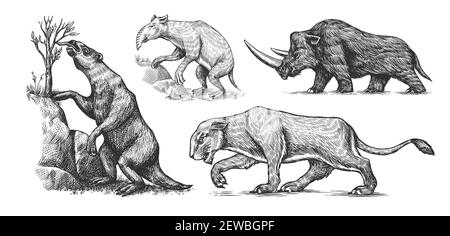 Lion de caverne de rhinocéros laineux. Sloth moulu, Megatheriidae. Palorchètes ou marsupiaux de la famille des palorchestidae. Animal éteint vintage. Rétro Illustration de Vecteur