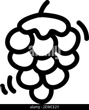 Raisins avec une tige, illustration, vecteur sur fond blanc. Illustration de Vecteur