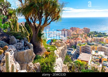 Vue depuis les jardins exotiques sur les collines de la mer Méditerranée et la ville de Monte Carlo, Monaco. Banque D'Images