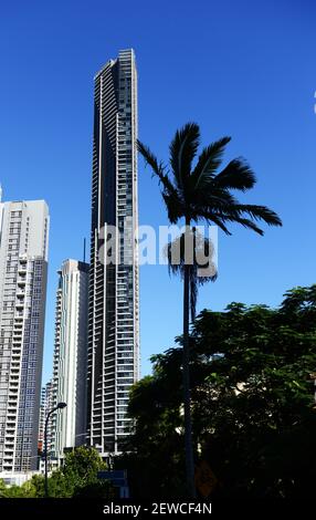 Meriton Suites Adelaide Street, Brisbane, Australie. Banque D'Images