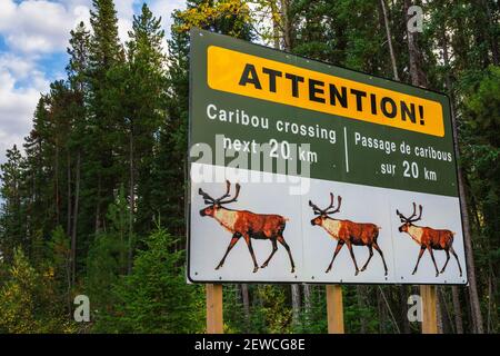 Panneau de passage du caribou, parc national Jasper (Alberta) Canada Banque D'Images