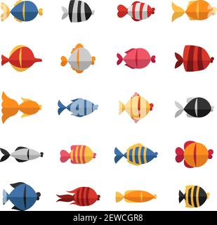 Différents types de poissons, illustration, vecteur sur fond blanc. Illustration de Vecteur