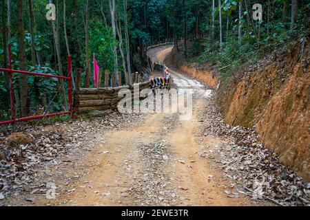 Piste de karting tout-terrain, piste forestière de montagne et de route de terre Banque D'Images