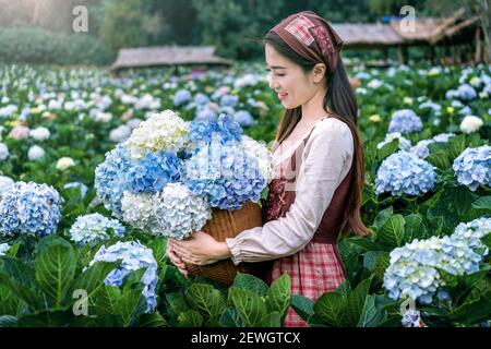 Belle fille appréciant fleurs d'hortensias bleu en fleurs dans le jardin, Chiang mai, Thaïlande. Banque D'Images