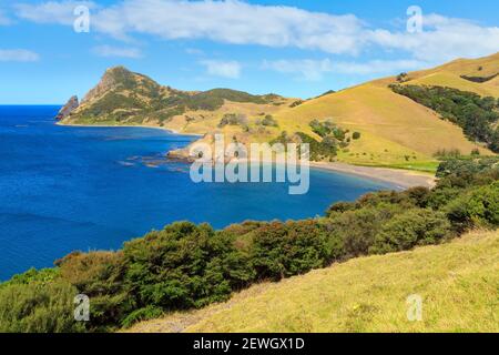 Fletcher Bay, au nord lointain de la péninsule de Coromandel, en Nouvelle-Zélande. À gauche, Sugar Loaf Hill Banque D'Images