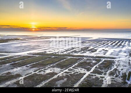 Vue aérienne sur les plaines de marais salés sur la côte de la mer des Wadden. Uithuizen, province de Groningen. Banque D'Images