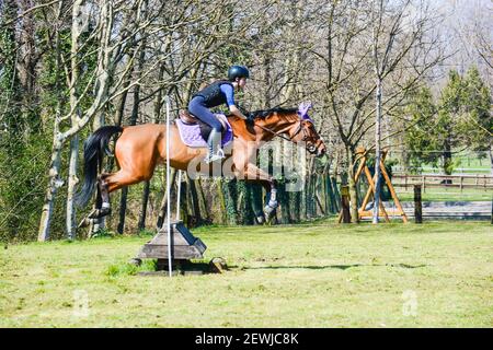 Montre équitation discount