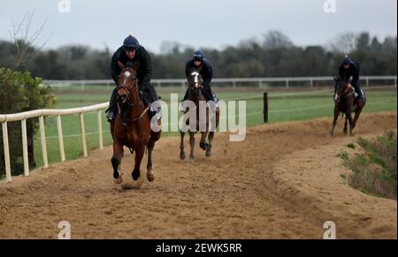 Photo du dossier datée du 28-02-2017, de chevaux sur les gallops des écuries de Gordon Elliott à Longwood, dans le comté de Meath, en Irlande. Date de publication : le mercredi 4 mars 2021. Banque D'Images