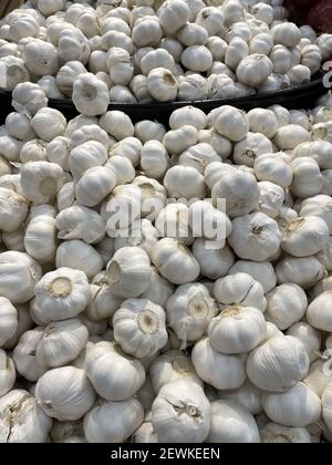 Un tas de grandes bulbes d'ail blanc frais dans un grand godet sur un marché Banque D'Images