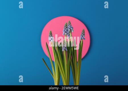 Carte de printemps moderne avec fleurs bleues sur le fond du soleil de l'aube en papier. Papier d'art avec fleurs Banque D'Images