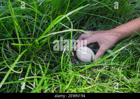 Concept de chasse aux œufs de Pâques. Les enfants recherchent un œuf blanc Uni sur le jardin d'herbe. Banque D'Images