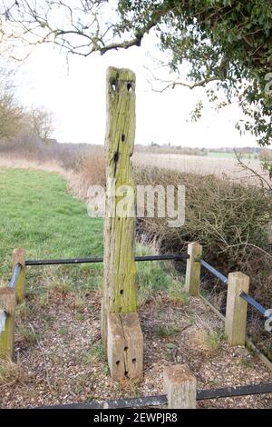 Le chêne Gibbert poste à Bilstone, Leicestershire, que le corps pendu de John Massey a été enchaîné après son exécution. Banque D'Images