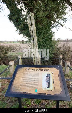 Le chêne Gibbert poste à Bilstone, Leicestershire, que le corps pendu de John Massey a été enchaîné après son exécution. Banque D'Images