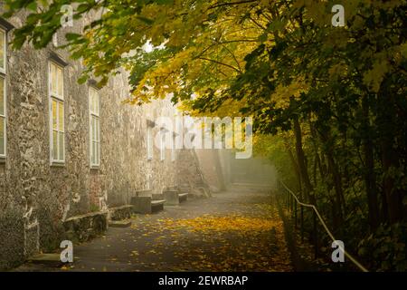 Chemin près d'une vieille grande maison dans une forêt de feuillus par une journée de brouillard en automne, feuilles colorées, Vienne (Autriche) Banque D'Images