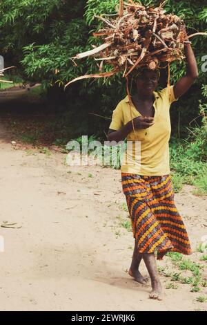 Une femme africaine collectant du bois de chauffage dans les zones rurales du Malawi Banque D'Images