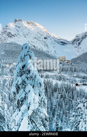 Arbres couverts de neige dans la forêt entourant le vieux château de Tarasp et les montagnes, Engadine, canton de Graubunden, Suisse, Europe Banque D'Images