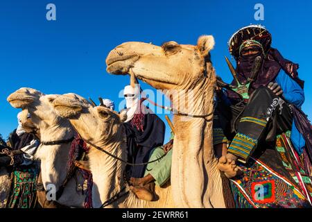 Tuaregs traditionnels habillés sur leurs chameaux, Oasis de Timia, Air Mountains, Niger, Afrique Banque D'Images