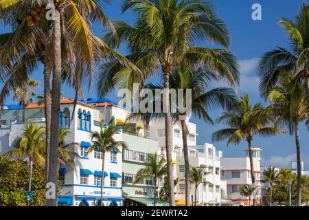 Façades d'hôtel colorées et palmiers imposants, Ocean Drive, quartier historique art déco, South Beach, Miami Beach, Floride, États-Unis d'Amérique Banque D'Images