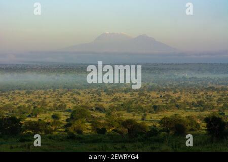 Vue sur le mont Kilimanjaro depuis Lualenyi, zone de conservation de Tsavo, Kenya, Afrique de l'est, Afrique Banque D'Images