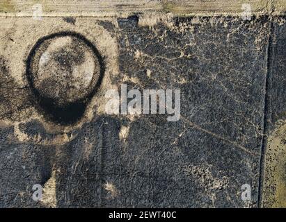 Neuzelle, Allemagne. 03ème mars 2021. Sur une zone de l'Union allemande pour la conservation de la nature et de la biodiversité (NABU) dans les basses terres de Neuzell, un stand de roseau a été brûlé (photo aérienne avec un drone). Dans la lutte contre la propagation de la peste porcine africaine, la combustion des roseaux a commencé le même jour. La mesure vise à créer une zone exempte de porcs noirs entre deux lignes de clôture et à permettre l'enlèvement de tous les porcs sauvages. Les zones de roseau servent souvent de retraites pour les rouges. Credit: Patrick Pleul/dpa-Zentralbild/ZB/dpa/Alay Live News Banque D'Images