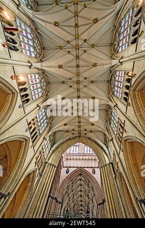 York (Yorkshire, Angleterre) : Minster - Kathedrale : Banque D'Images