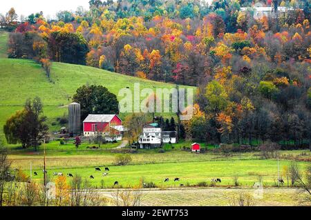 Amish style de vie et maison de ferme pittoresque sans fils électriques dedans Et autour de Sugarcreek et Millersburg Ohio OH Banque D'Images