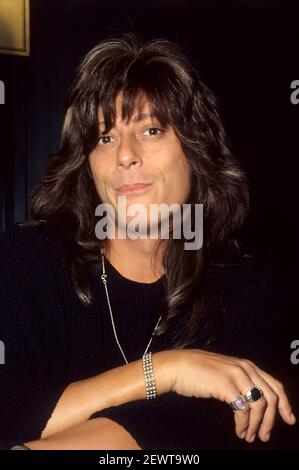 Entretien avec Joe Lynn Turner de Deep Purple à l'hôtel Holiday Inn. Londres, 09/20/1990 | utilisation dans le monde entier Banque D'Images