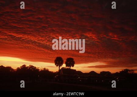 Silhouettes de palmiers vues contre un beau coucher de soleil en Floride, États-Unis Banque D'Images