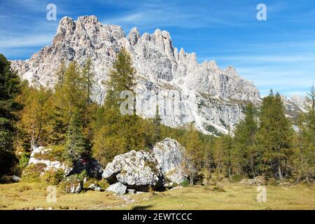Bois de mélèze et Cima Ambrizzola et Croda da Lago, montagnes des Dolomites des Alpes étrangères Banque D'Images