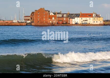 Vue sur West Bay jusqu'à Harbour et Lower Quay, North Berwick Banque D'Images