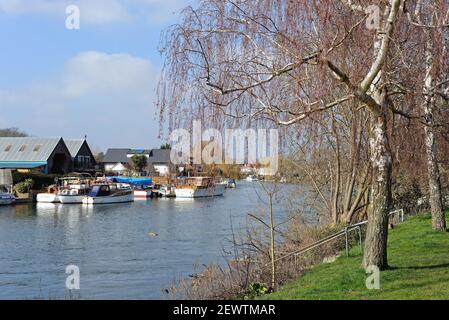 Le bord de la rivière à Laleham, Staines on Thames, un jour de printemps ensoleillé, Surrey, Angleterre, Royaume-Uni Banque D'Images