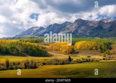 Paysage d'automne pittoresque avec les Aspen dans Kebler Pass près de Crested Butte, Colorado Banque D'Images