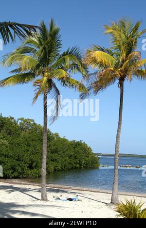 Key Largo, Floride, États-Unis. The Far Beach au parc régional John Pennekamp Coral Reef. Banque D'Images