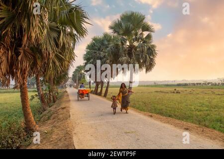 Femme rurale avec son enfant marchant sur une route de village non pavée avec vue sur les terres agricoles dans un district du Bengale occidental, Inde Banque D'Images